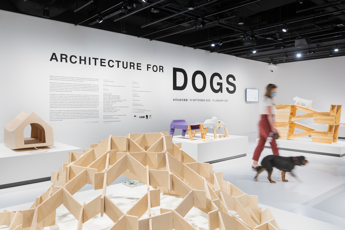 Exhibition: Architecture for Dogs